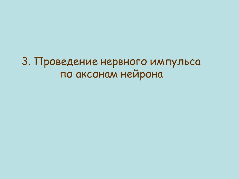 3. Проведение нервного импульса по аксонам нейрона